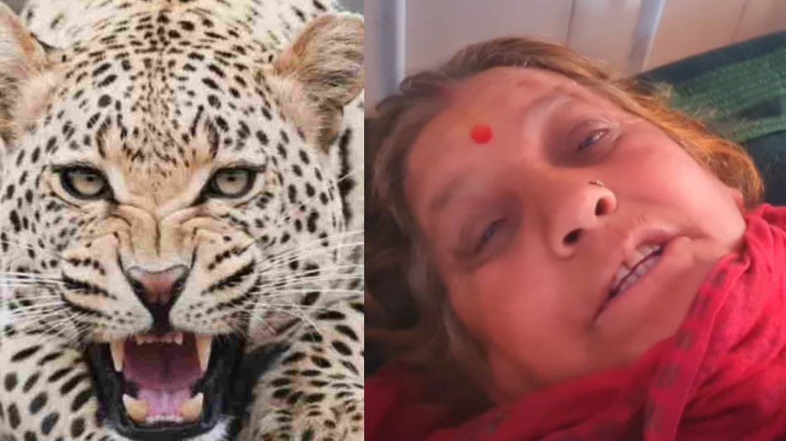 65 साल की वीर महिला का अद्भुत साहस, गुलदार के हमले में दरांती से बचाई जान