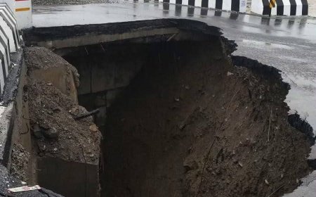 हिमालयन कंस्ट्रक्शन कंपनी का लाइसेंस निलंबित, टेंडर प्रक्रिया से ब्लैकलिस्ट