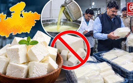 MP में एनालॉग पनीर पर बैन