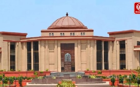 बुजुर्ग विधवा की पेंशन में रुकावट, हाईकोर्ट ने कलेक्टर को भेजा अवमानना नोटिस