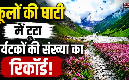 उत्तराखंड की फूलों की घाटी में पर्यटकों का नया रिकॉर्ड, पहुंचे 22,745 सैलानी