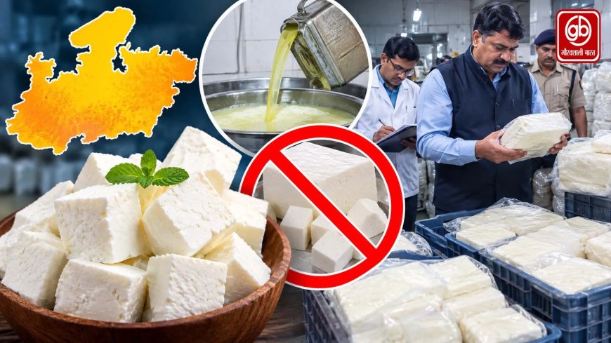 MP में एनालॉग पनीर पर बैन