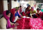 उत्तराखंड: पहाड़ी फलों से जैम-चटनी बनाकर आत्मनिर्भर बन रहीं हल्द्वानी की महिलाएं, बड़े शहरों तक पहुंच रहे उत्पाद