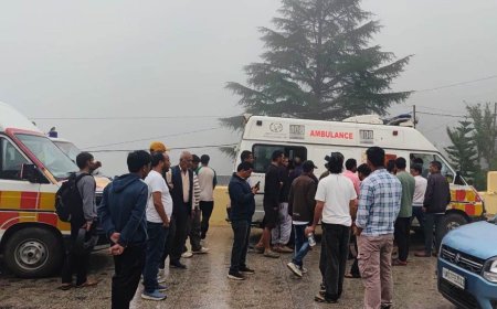 चमोली के नेल-सिदेली में घास लेने गई महिलाओं पर भालू का हमला, एक की मौ*त; दूसरी गंभीर घायल
