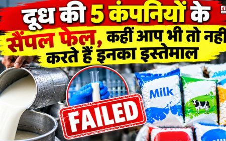 दूध की 5 कंपनियों के सैंपल हुए फेल, कहीं आप भी तो नहीं करते हैं इनका इस्तेमाल