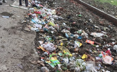 देहरादून में प्लास्टिक पर प्रशासन का डंडा! 1776 दुकानों की जांच, 550 के चालान और 1.96 लाख जुर्माना