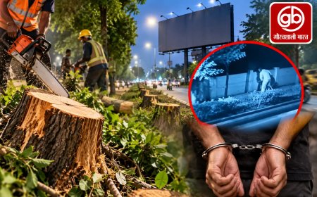 नासिक में होर्डिंग के लिए कटे 55 पेड़, 6 आरोपी गिरफ्तार