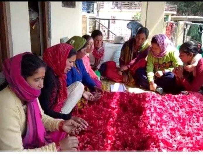 उत्तराखंड: पहाड़ी फलों से जैम-चटनी बनाकर आत्मनिर्भर बन रहीं हल्द्वानी की महिलाएं, बड़े शहरों तक पहुंच रहे उत्पाद