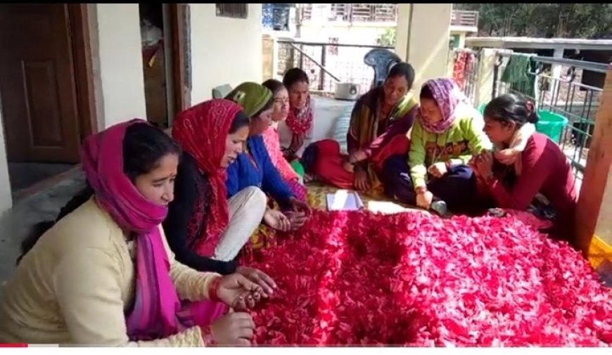 उत्तराखंड: पहाड़ी फलों से जैम-चटनी बनाकर आत्मनिर्भर बन रहीं हल्द्वानी की महिलाएं, बड़े शहरों तक पहुंच रहे उत्पाद