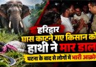 हरिद्वार में जंगली हाथी का जानलेवा हमला, किसान की हुई मौत