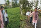 बाजपुर में मौसम के कारण फसलें और बाग प्रभावित, सीएम धामी ने लिया स्थिति का जायजा