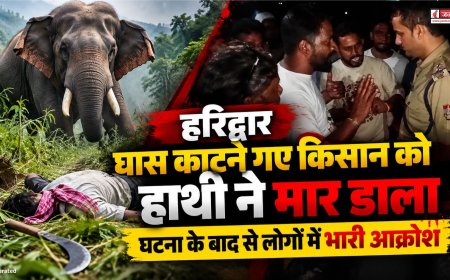 हरिद्वार में जंगली हाथी का जानलेवा हमला, किसान की हुई मौत