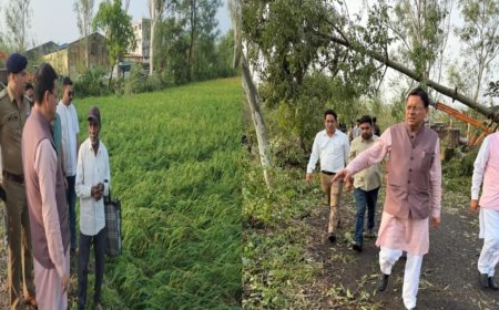 बाजपुर में मौसम के कारण फसलें और बाग प्रभावित, सीएम धामी ने लिया स्थिति का जायजा
