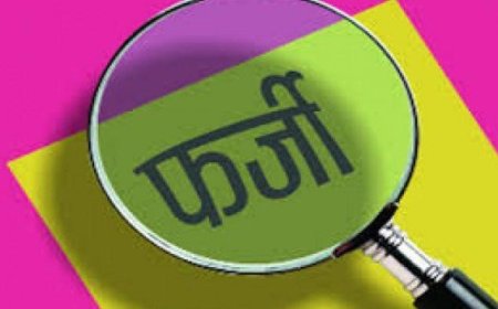 उत्तराखंड: शिक्षिका की टीईटी मार्कशीट फर्जी, प्रावि गवाड़ी में थी तैनात