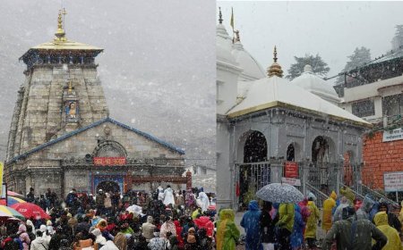 पहाड़ों पर बर्फबारी, केदारनाथ से गंगोत्री तक बिछी सफेद चादर,  मसूरी में बारिश ने बढ़ाई ठिठुरन