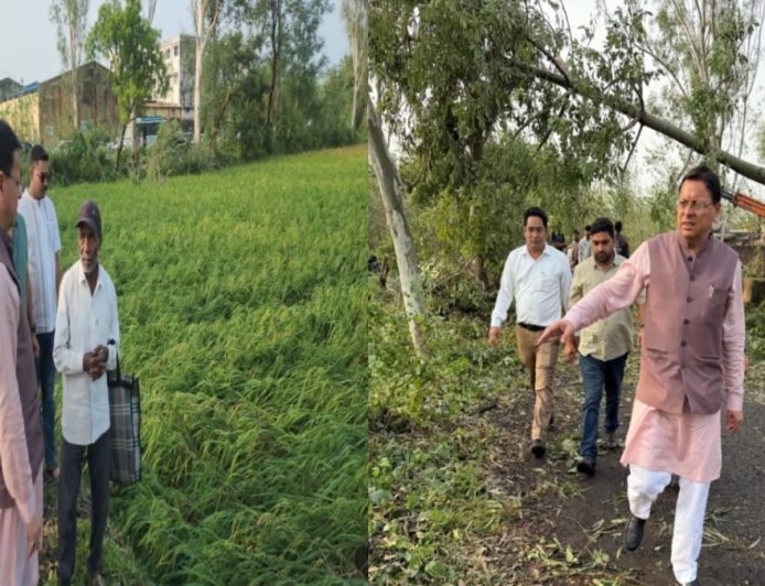 बाजपुर में मौसम के कारण फसलें और बाग प्रभावित, सीएम धामी ने लिया स्थिति का जायजा