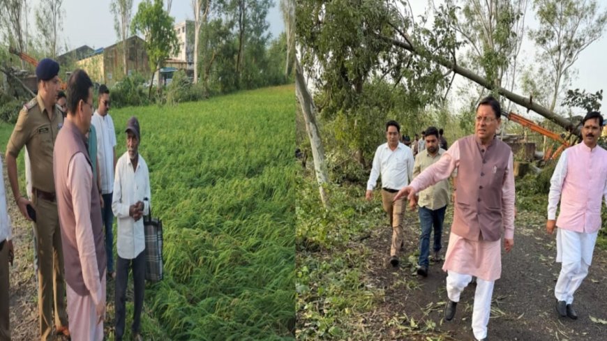 बाजपुर में मौसम के कारण फसलें और बाग प्रभावित, सीएम धामी ने लिया स्थिति का जायजा